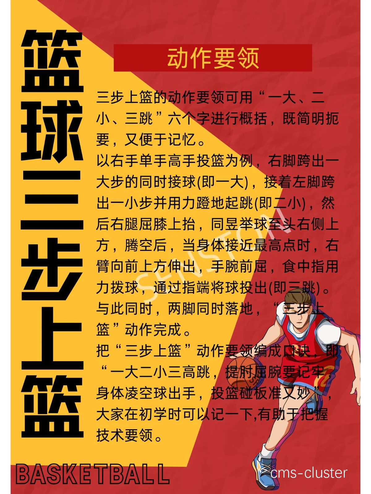 成人篮球基本功训练方法